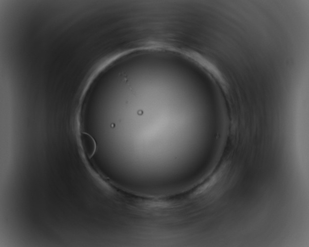 X0000095681239200801081222