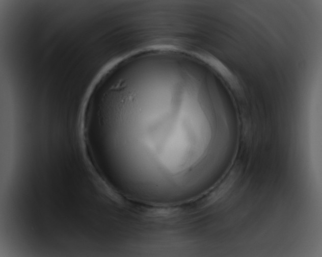 X0000095681240200801081222