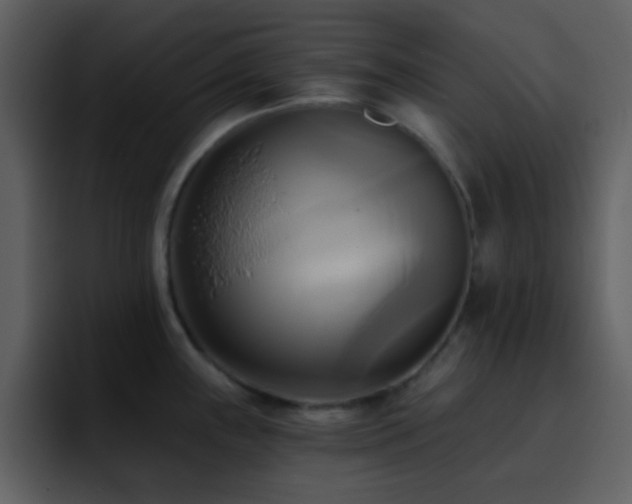 X0000095681243200801081222