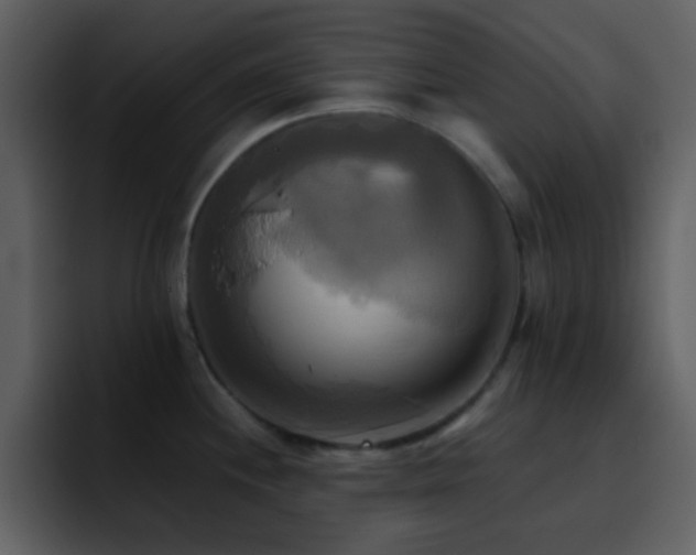 X0000095681244200801081222