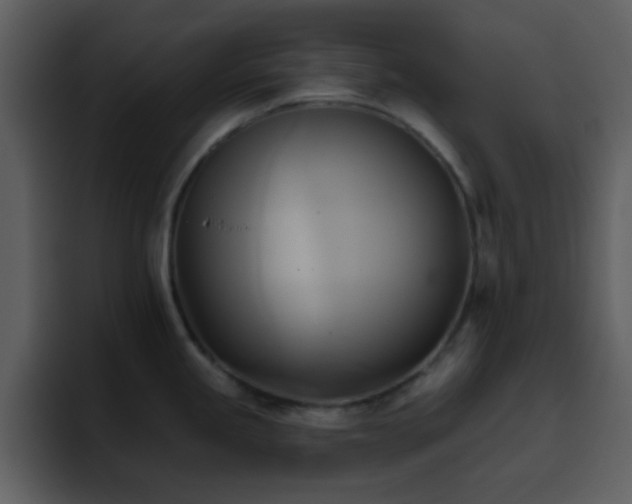 X0000095681245200801081222