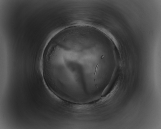 X0000095681247200801081222