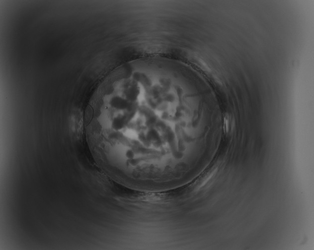 X0000095681251200801081222