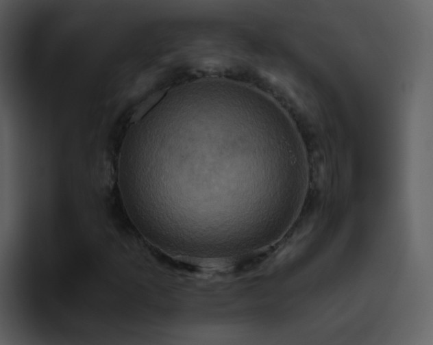 X0000095681253200801081222
