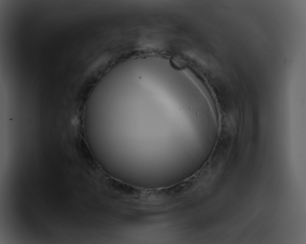 X0000095681254200801081222