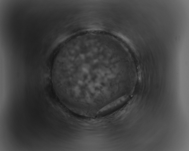 X0000095681255200801081222