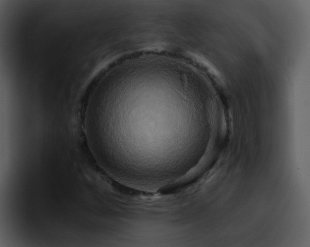 X0000095681256200801081222
