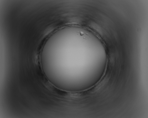 X0000095681258200801081222