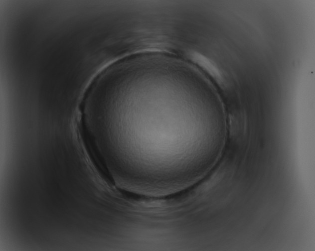 X0000095681260200801081222