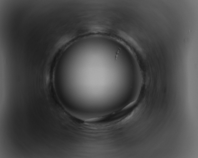 X0000095681261200801081222