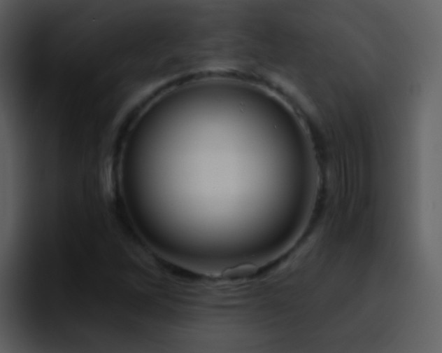 X0000095681262200801081222