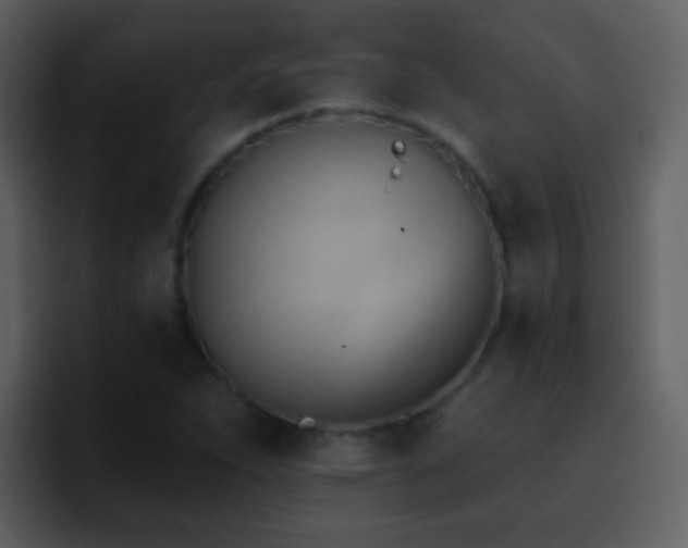 X0000095681263200801081222