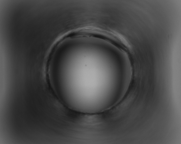 X0000095681264200801081222