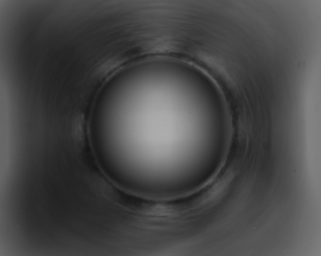 X0000095681265200801081222