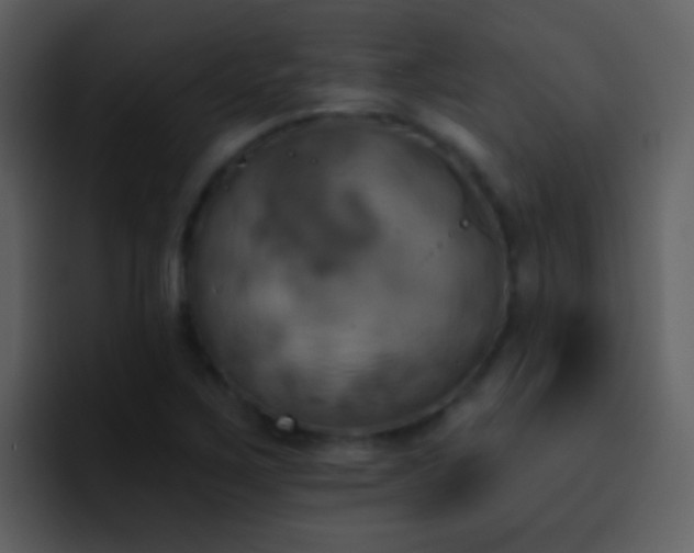 X0000095681267200801081222