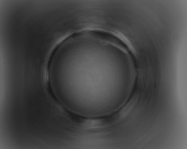 X0000095681269200801081222