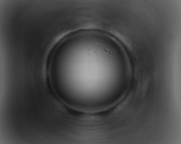 X0000095681270200801081222