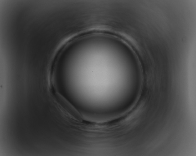 X0000095681271200801081221
