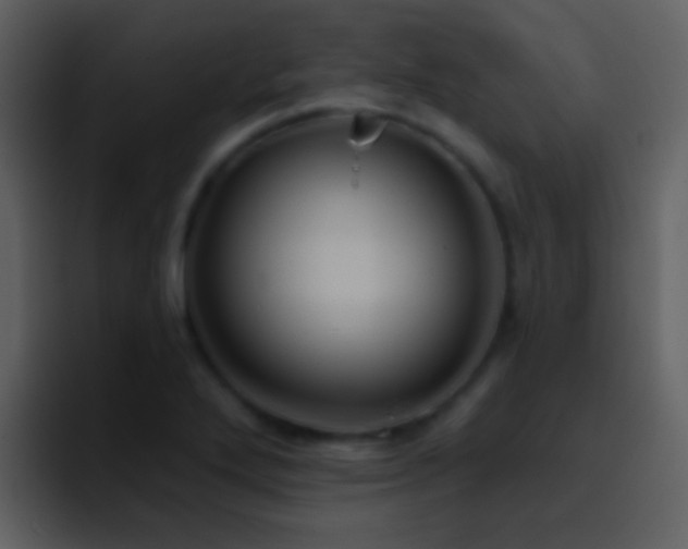 X0000095681272200801081221