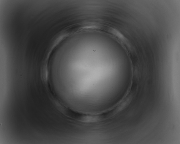 X0000095681274200801081221