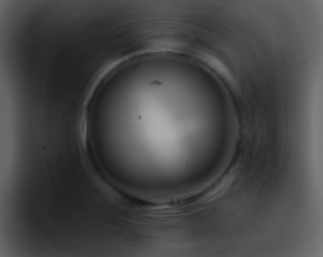 X0000095681275200801081221