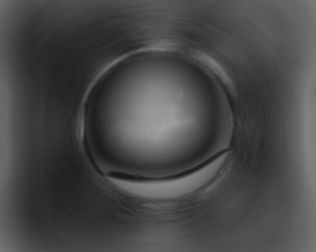 X0000095681276200801081221