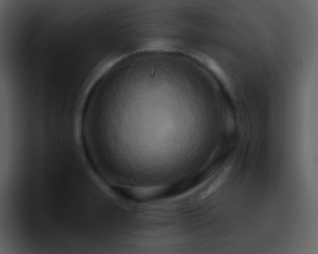 X0000095681277200801081221