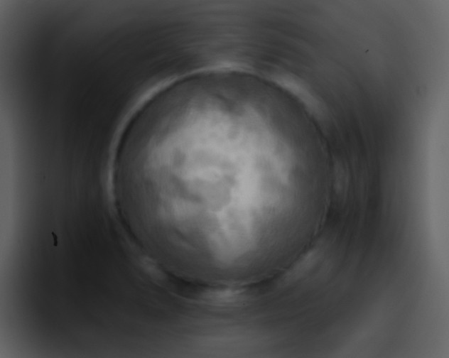 X0000095681278200801081221