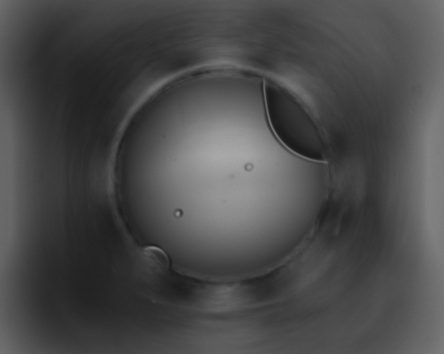 X0000095681279200801081221