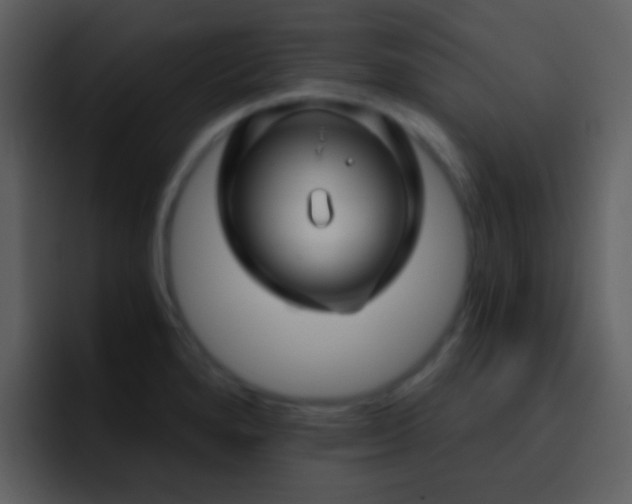 X0000095681280200801081221