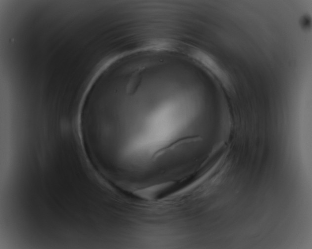 X0000095681283200801081221