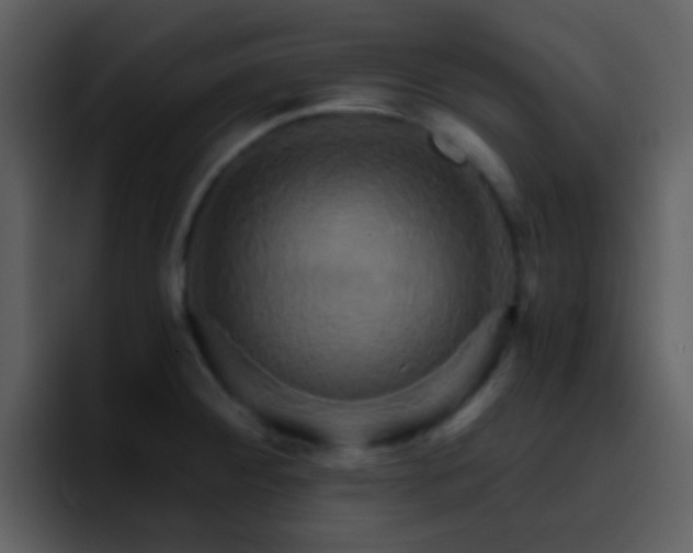 X0000095681284200801081221
