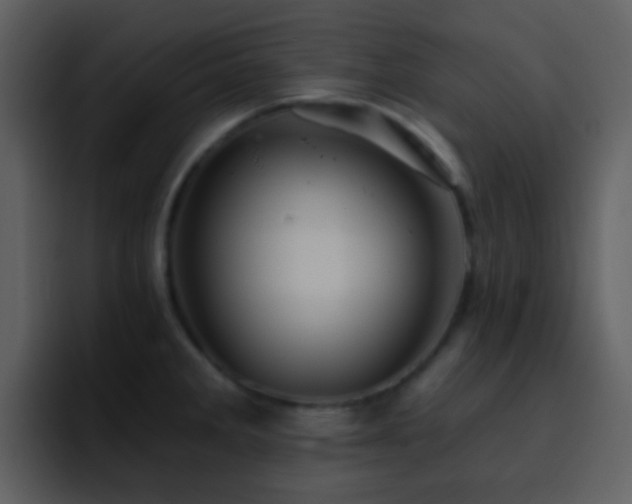 X0000095681285200801081221