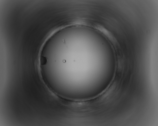 X0000095681286200801081221