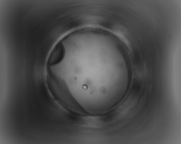 X0000095681287200801081221