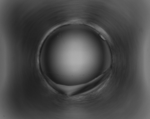 X0000095681288200801081221