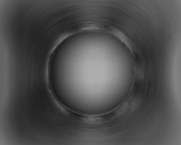 X0000095681290200801081221