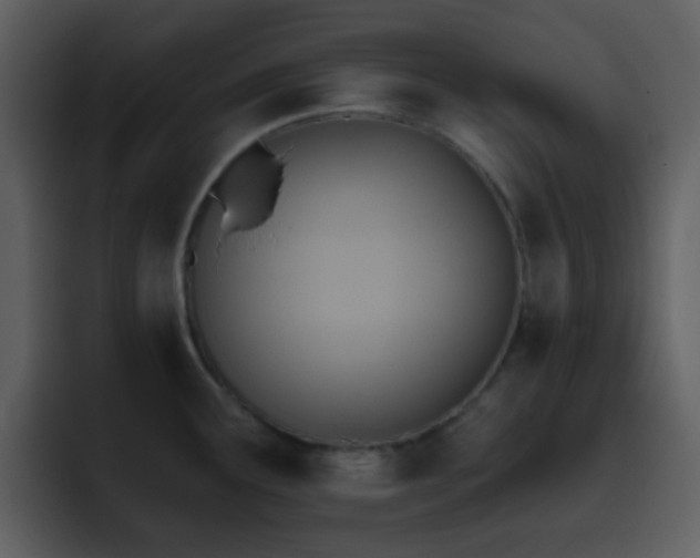 X0000095681291200801081221
