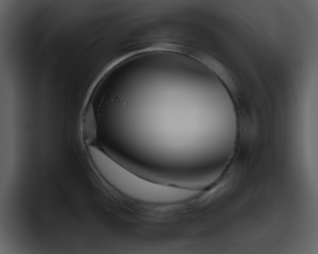 X0000095681292200801081221