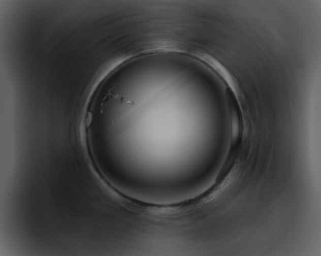 X0000095681293200801081221