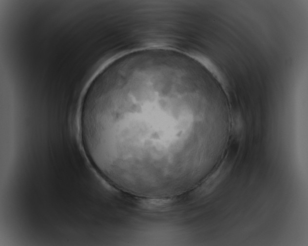 X0000095681294200801081221