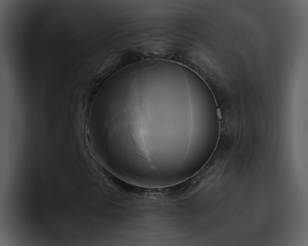 X0000095681297200801081221
