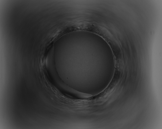 X0000095681298200801081221