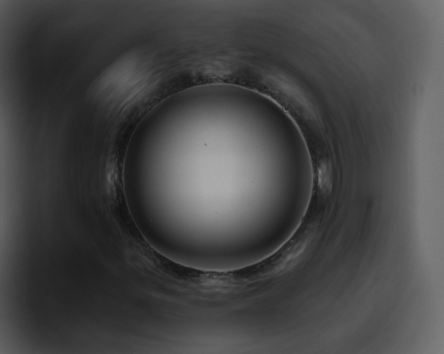 X0000095681299200801081221