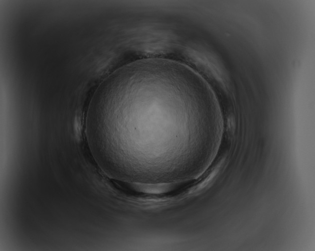X0000095681300200801081221