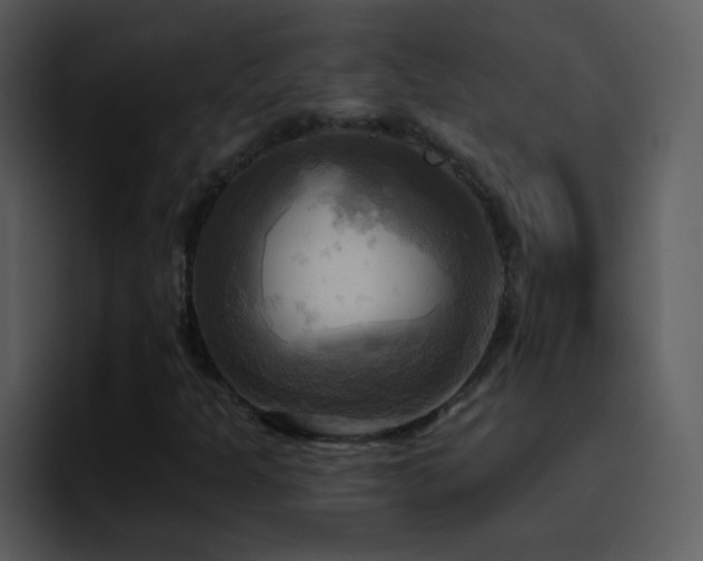 X0000095681301200801081221