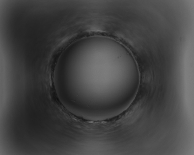 X0000095681303200801081221