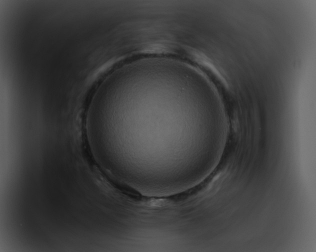 X0000095681304200801081221