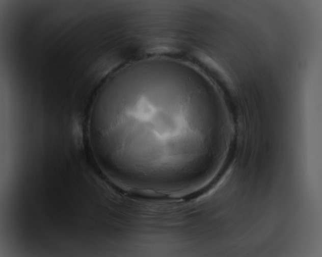 X0000095681305200801081221
