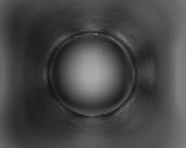X0000095681307200801081221